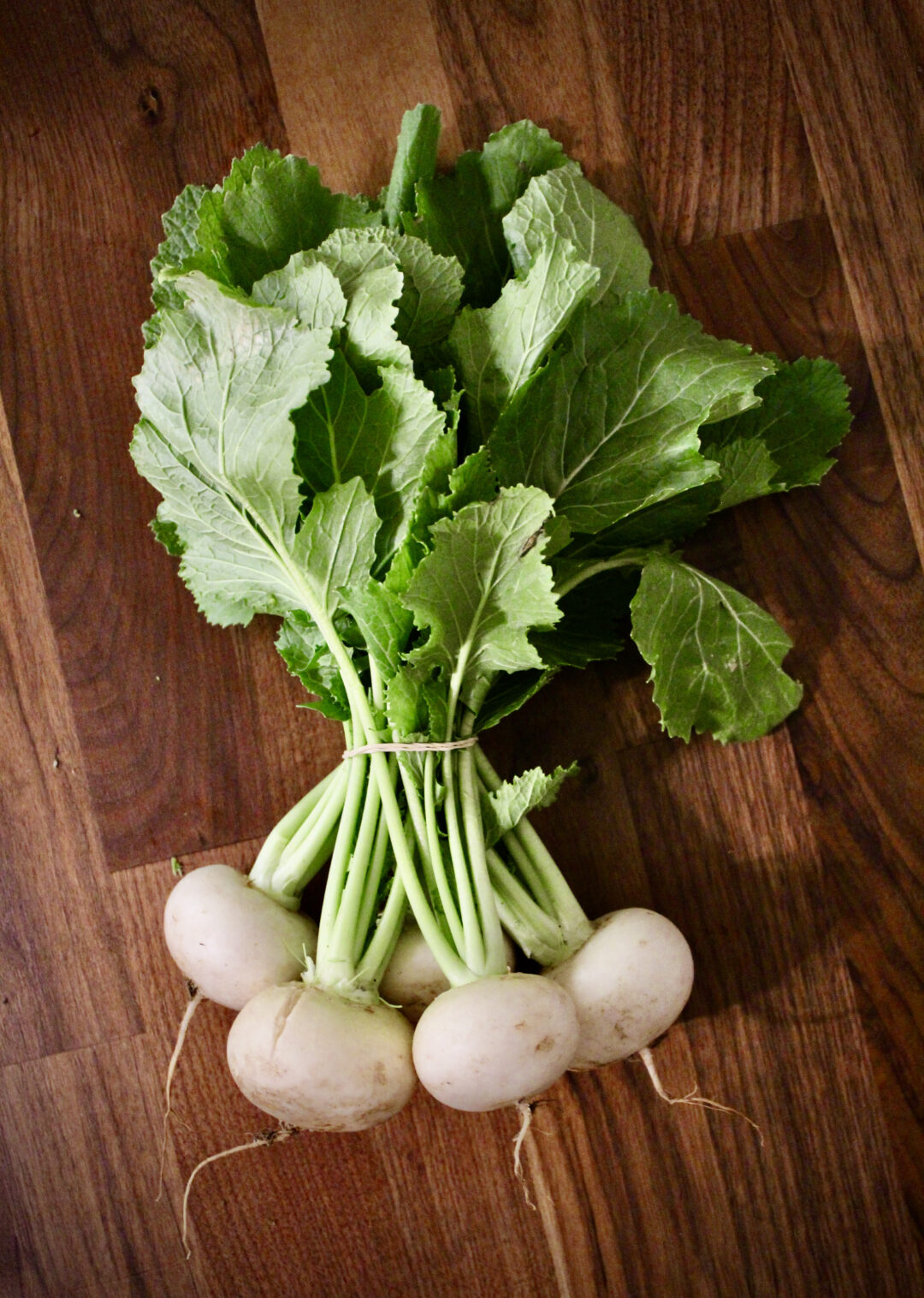Cheesy Hakurei Turnip Gratin with Fresh Herbs Sow The Table